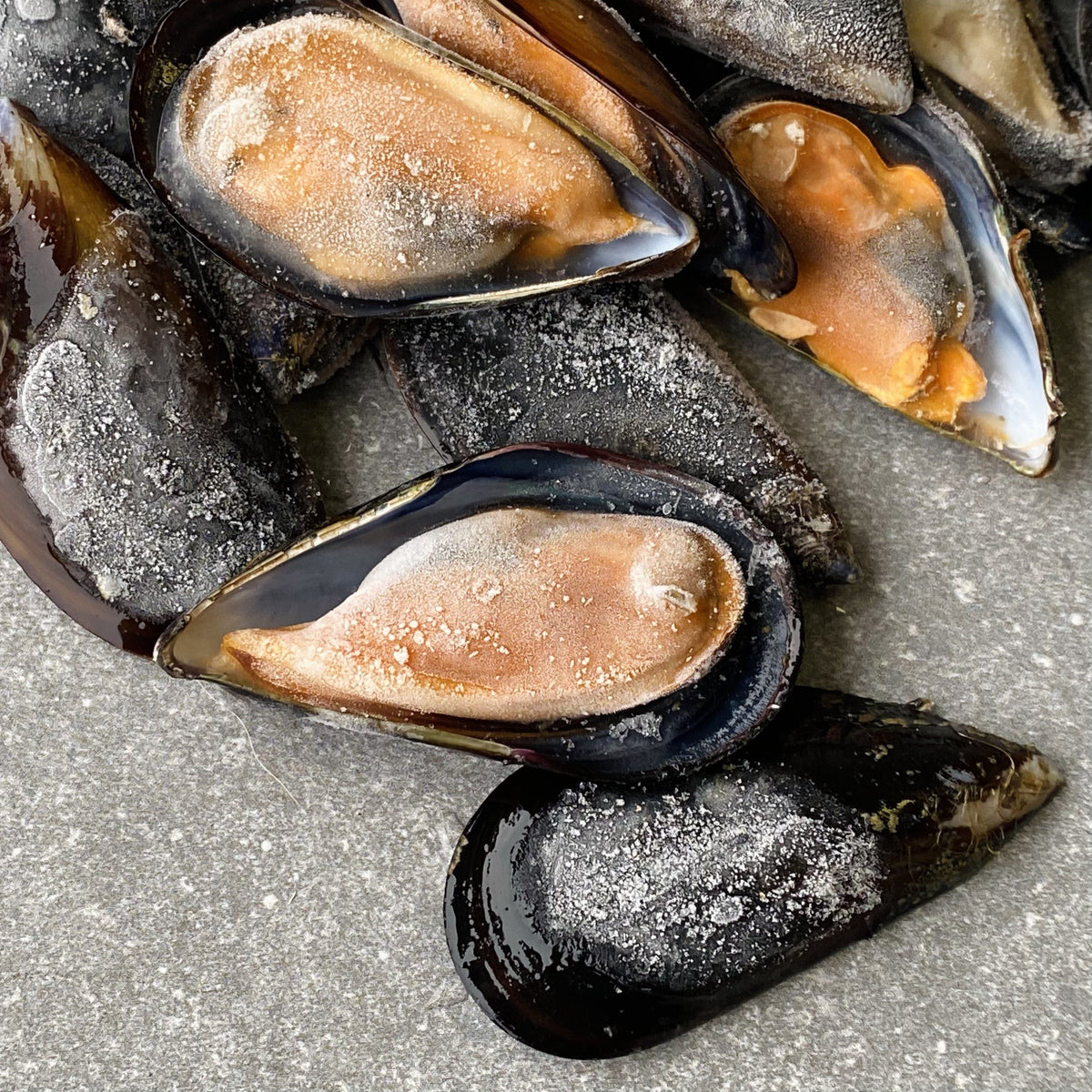 Half Shell Black Mussels Box Farmed on the West Coast 1.6kg Greenfish