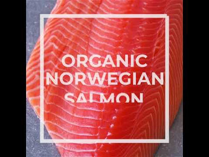 Organic Salmon Fillet | Fresh Fish Box | Cultivated | 2kg