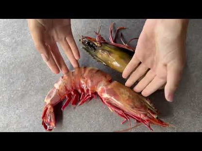 Giant Tiger Prawns | Frozen Box | Wild caught | x6 | 700g