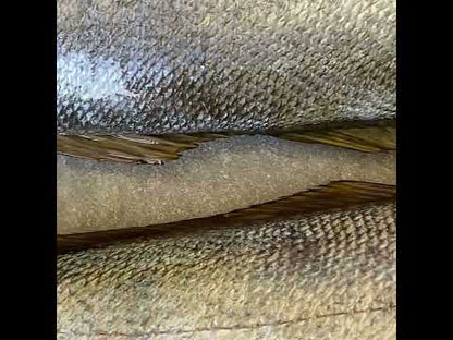 Cape Salmon | Portion Frozen Box | Premium Portion Range | 4 x 200g