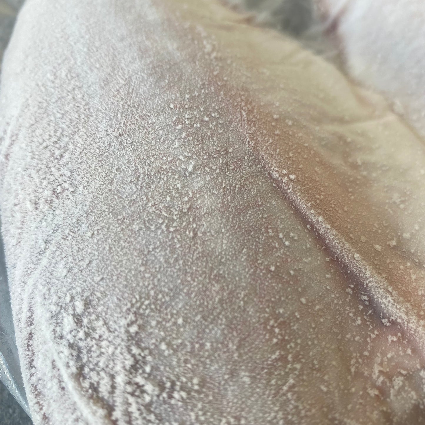Silver Fish | Frozen Box | Caught in Struisbaai