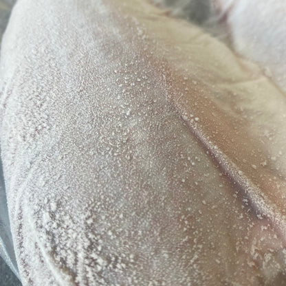 Silver Fish | Frozen Box | Caught in Struisbaai