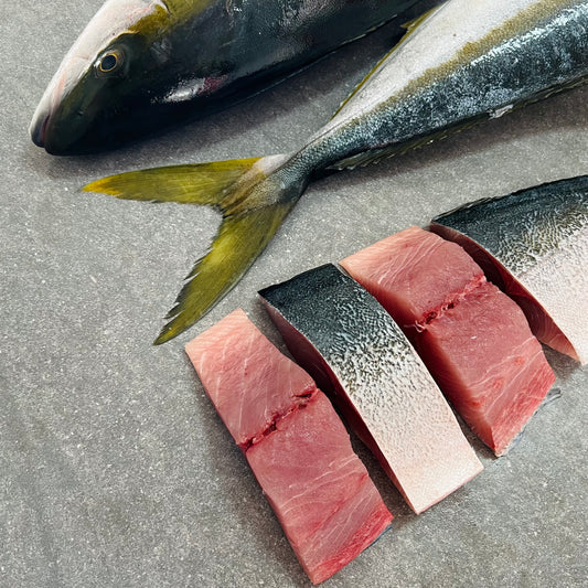 Yellowtail | Portion Frozen Box | Premium Portion Range | 4 x 200g