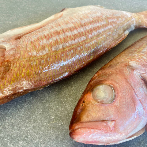 Silver Fish | Frozen Box | Caught in Struisbaai