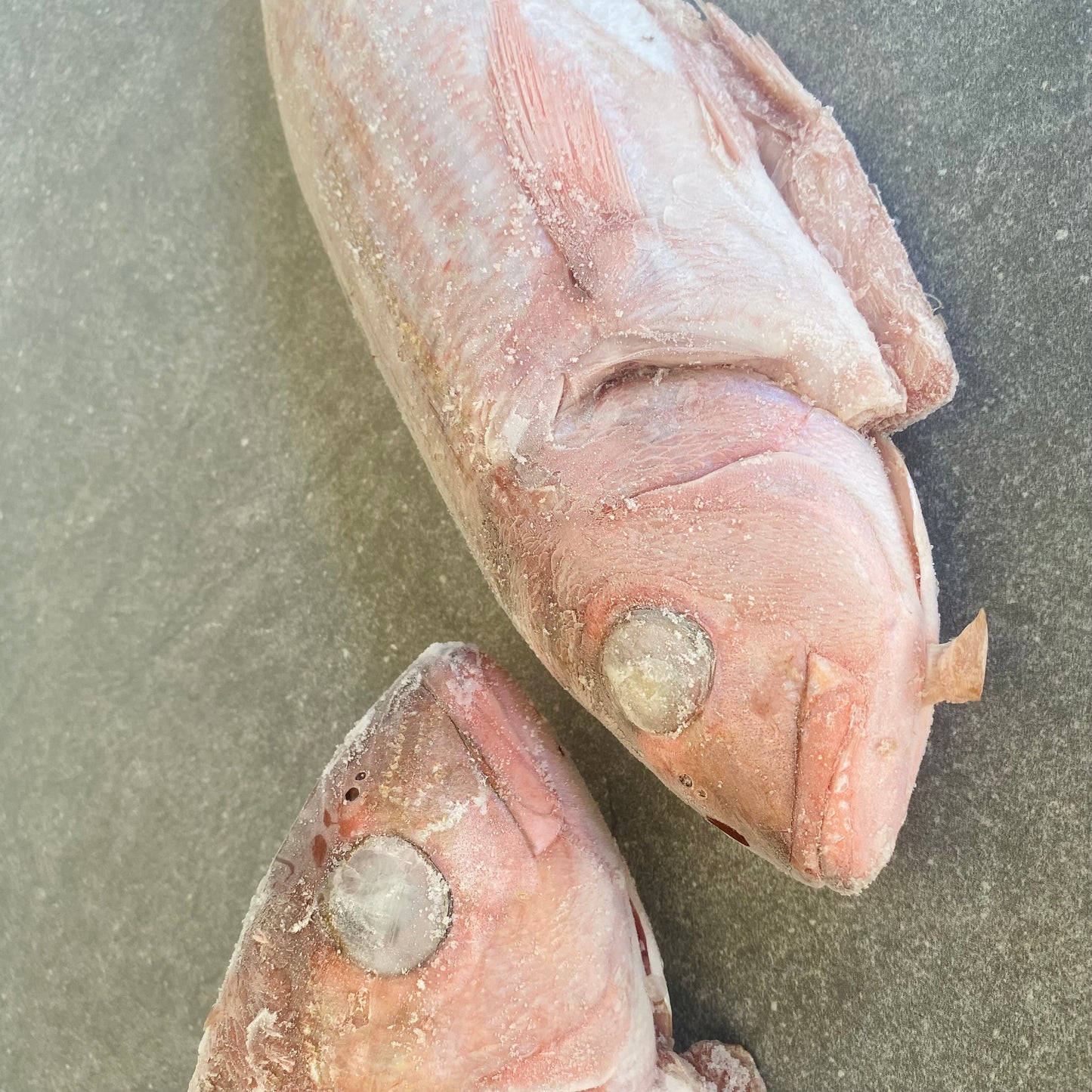 Silver Fish | Frozen Box | Caught in Struisbaai