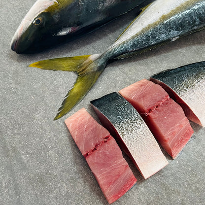 Yellowtail Catering Box | Portion Frozen Box | 15 x 300g