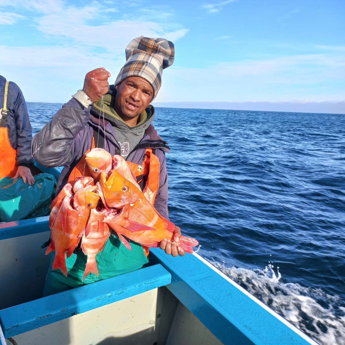 Red Stumpnose XL | Fresh Fish Box | Caught in Struisbaai