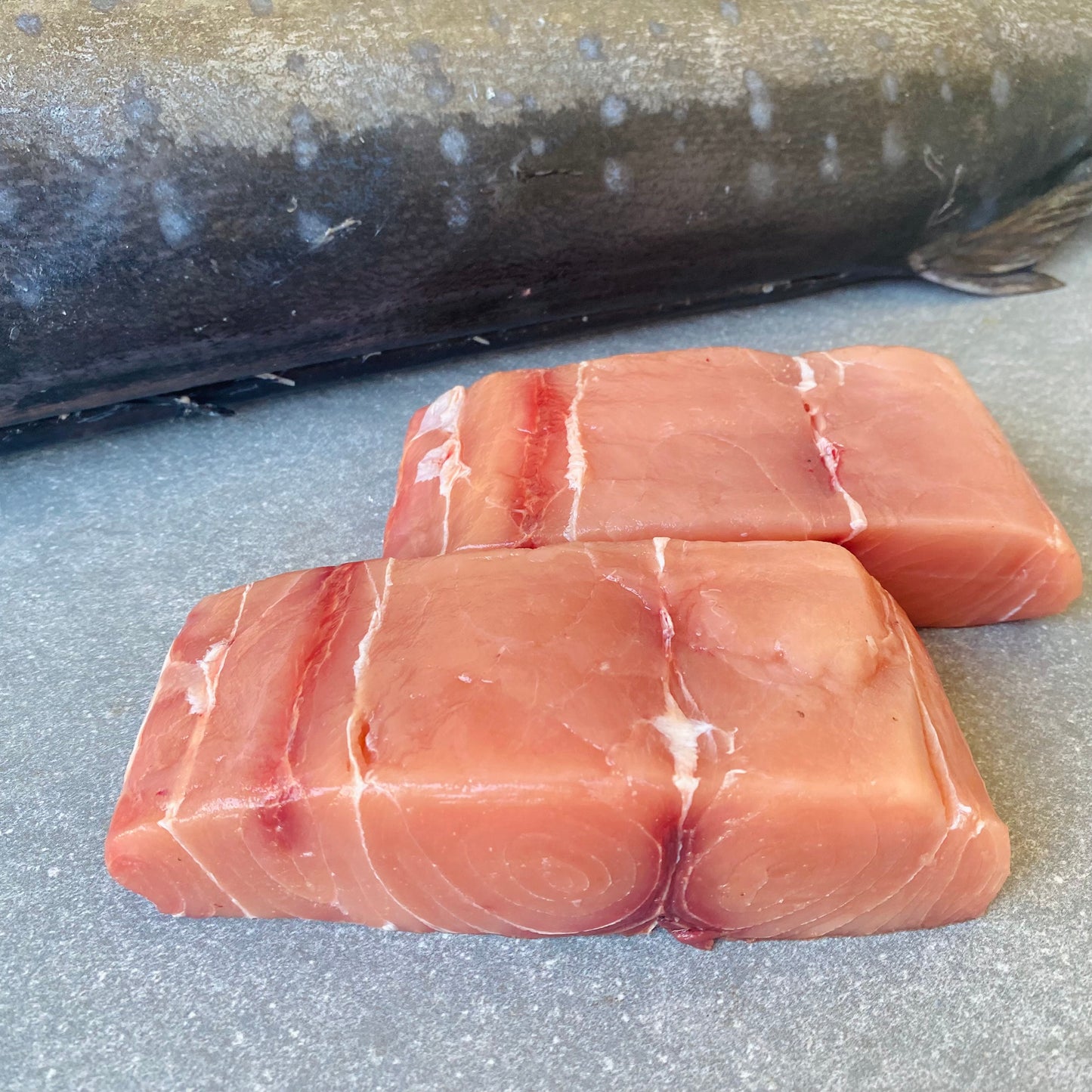 Sailfish Steaks | Fresh Fish Box | Wild caught