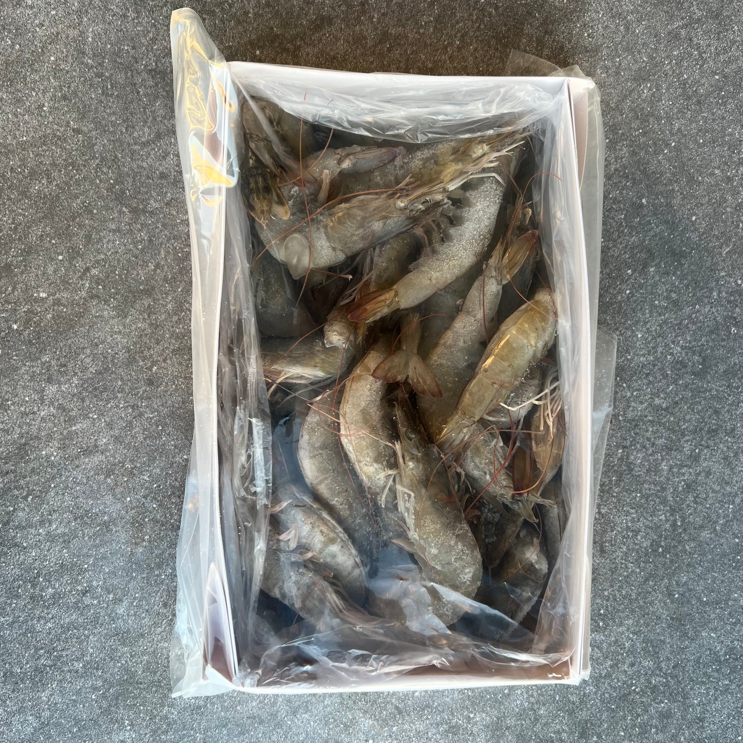 King Prawns Whole | Easy Cut | Frozen Box | Cultivated | 1.6kg