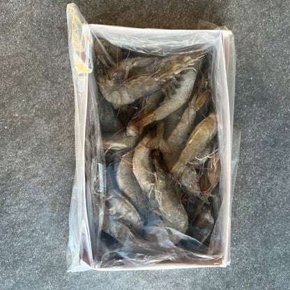 King Prawns Whole | Easy Cut | Frozen Box | Cultivated | 1.6kg