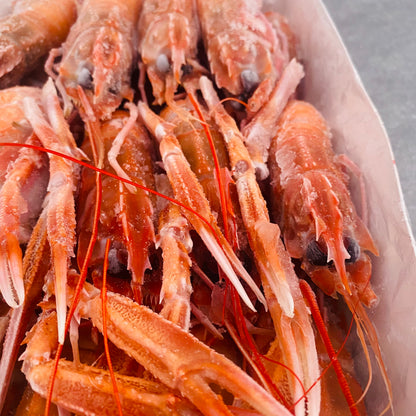 Langoustine Box | Large | 1.7kg | Frozen box | Caught off Durban