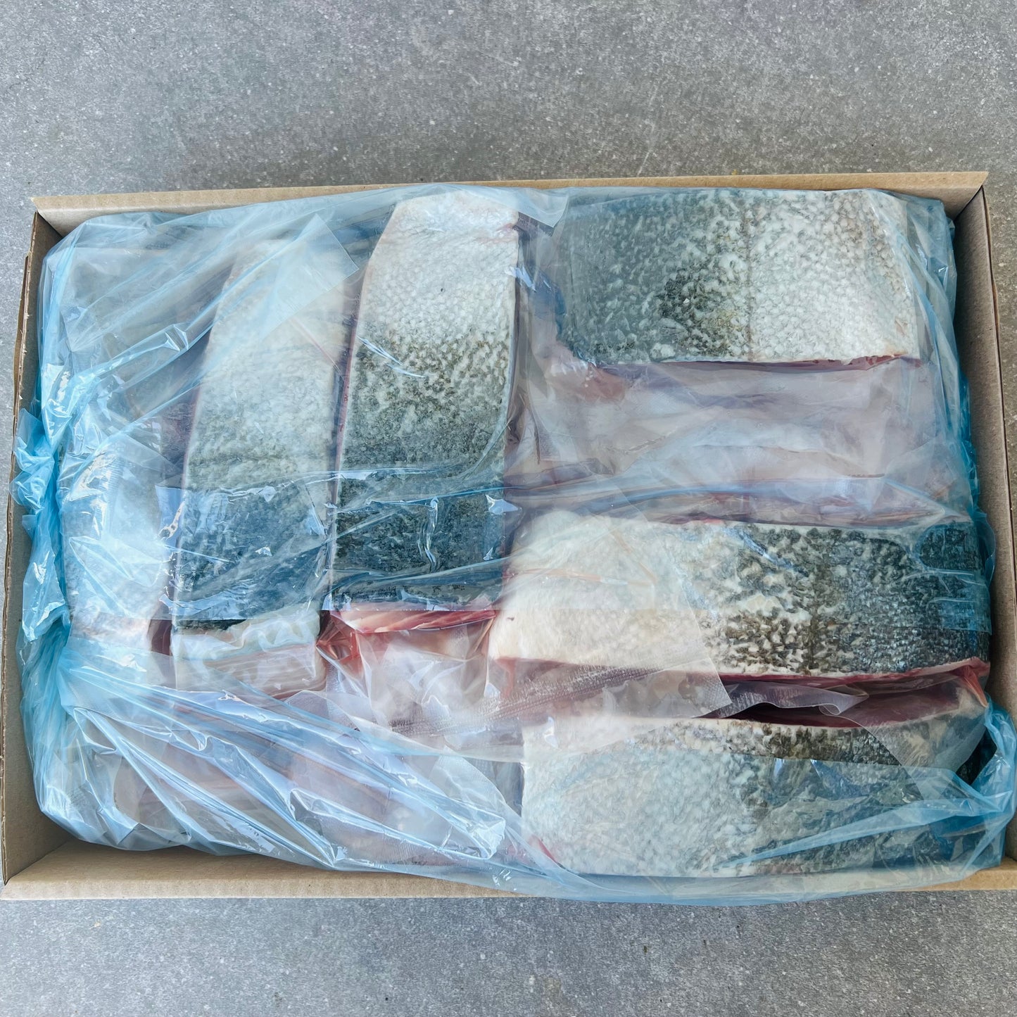 Yellowtail Catering Box | Portion Frozen Box | 15 x 300g