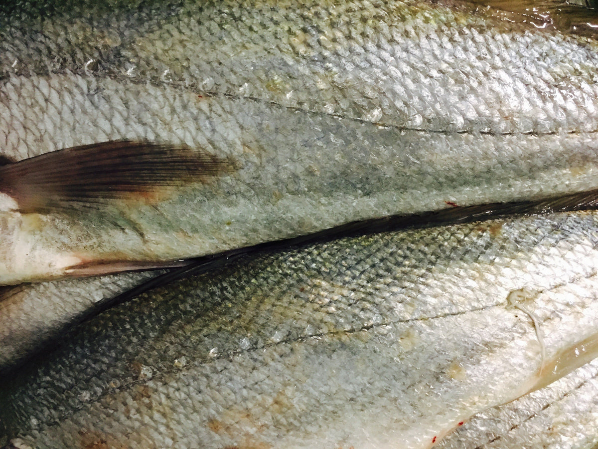 Kabeljou Fillets | Kob | Fresh Fish Box | Wild caught – Greenfish