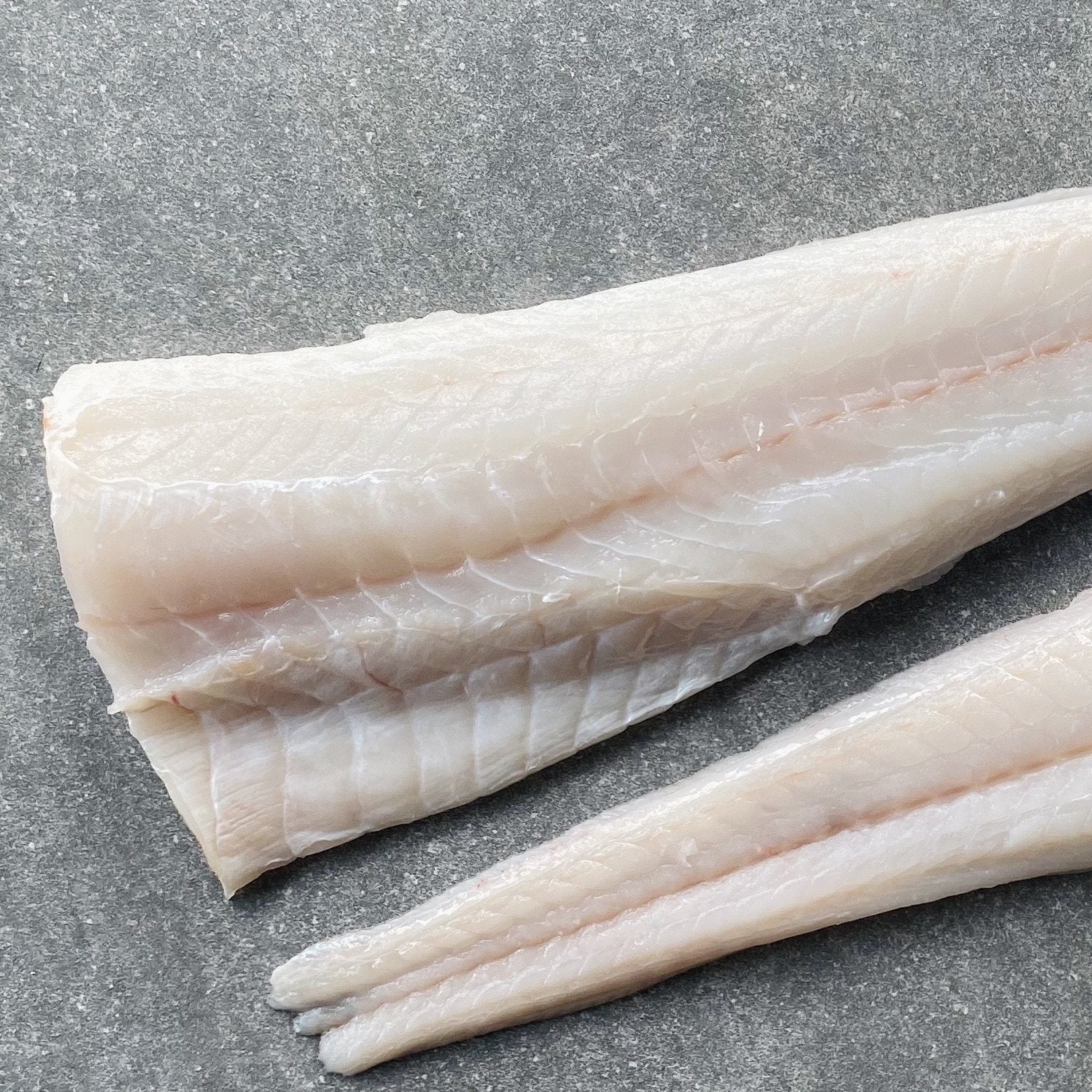  Greenfish
