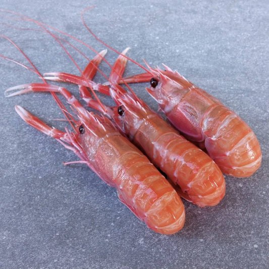 Langoustine Box | Small | 1.7kg | Caught Off Durban