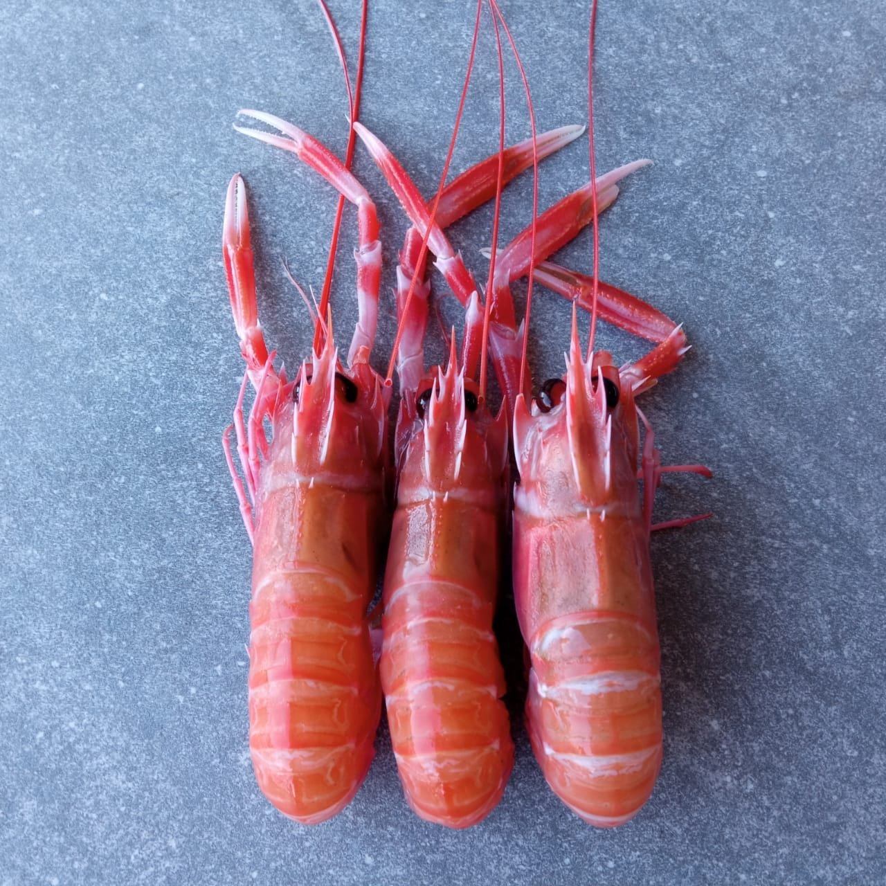 Langoustine Box | Small | 1.7kg | Caught Off Durban
