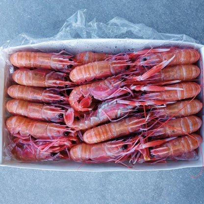 Langoustine Box | Small | 1.7kg | Caught Off Durban
