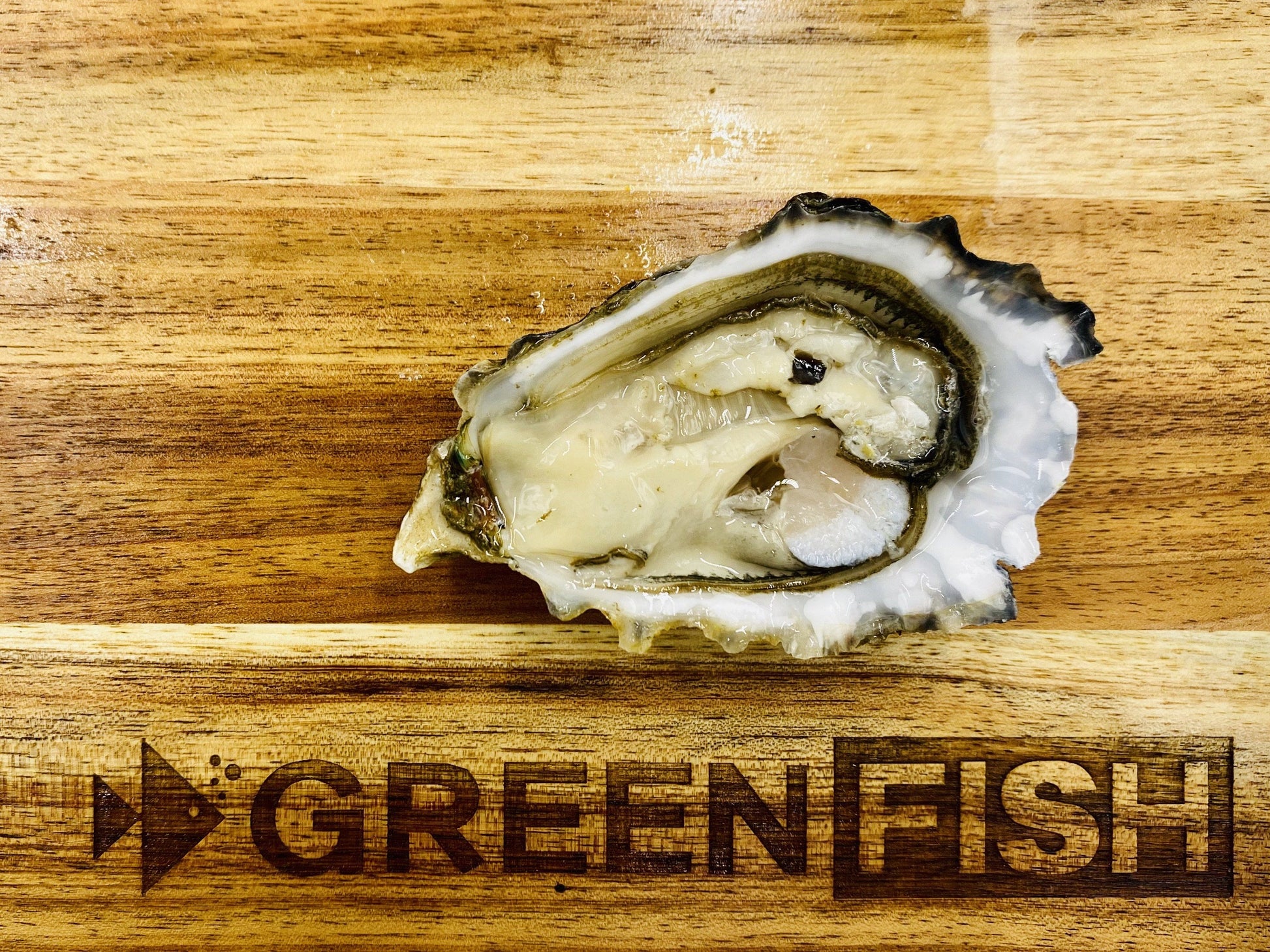  Greenfish