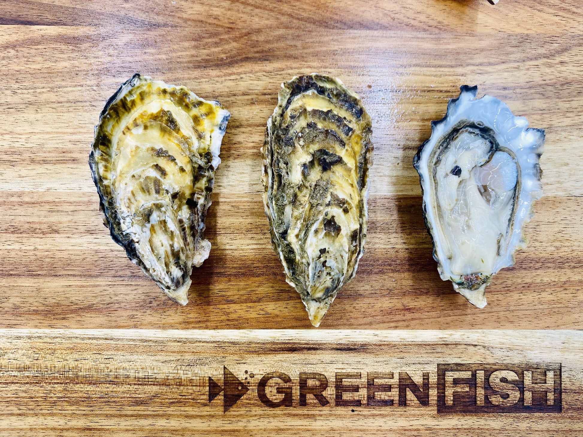  Greenfish