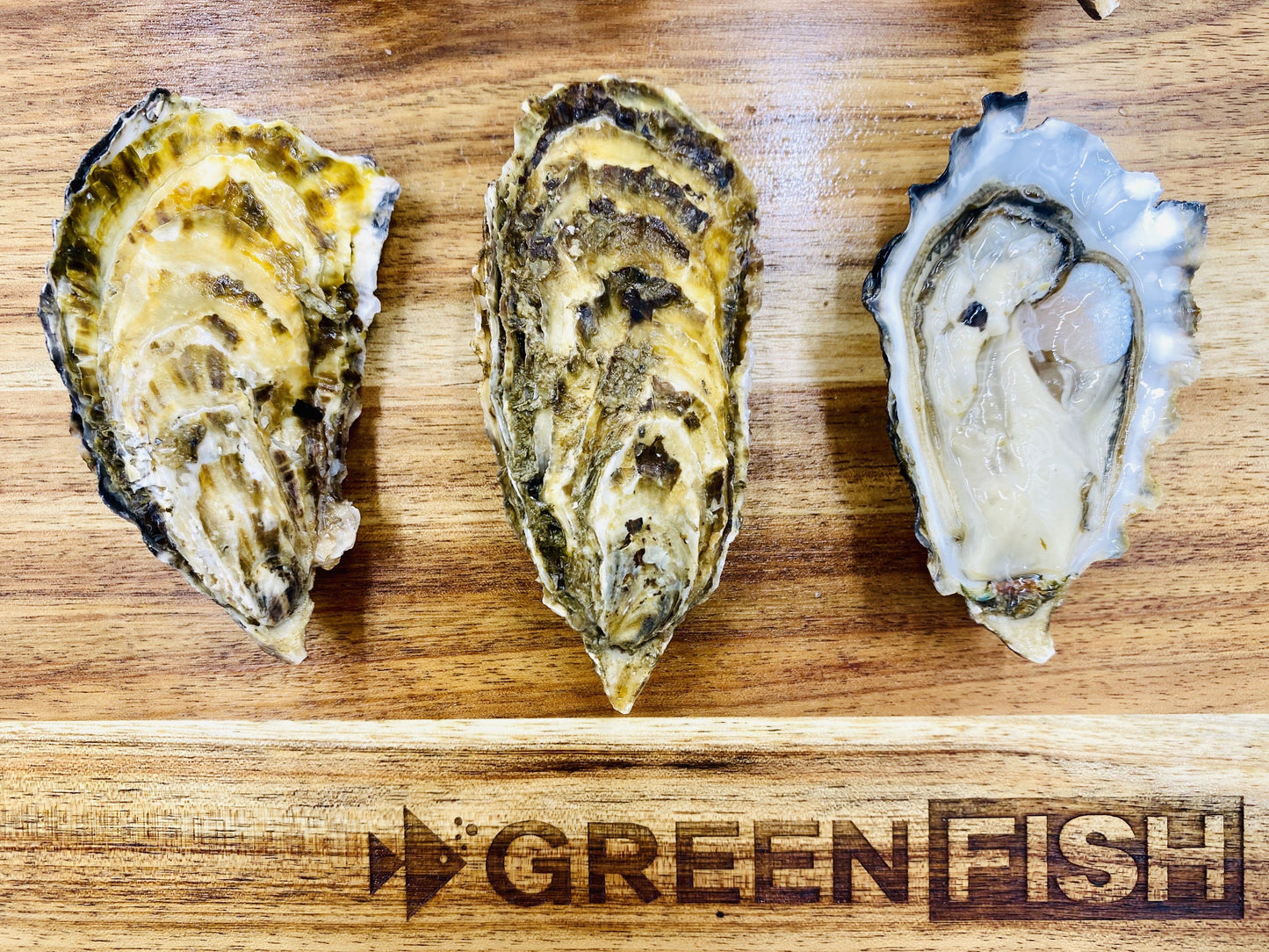  Greenfish