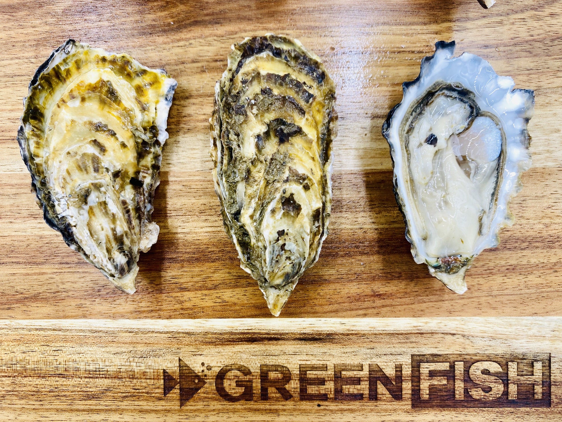 Greenfish