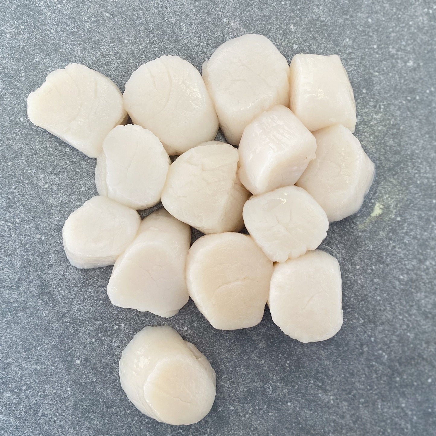 Large Scallops Entrée | Frozen Box | Wild caught | 300g