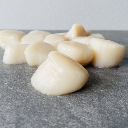 Large Scallops Entrée | Frozen Box | Wild caught | 300g