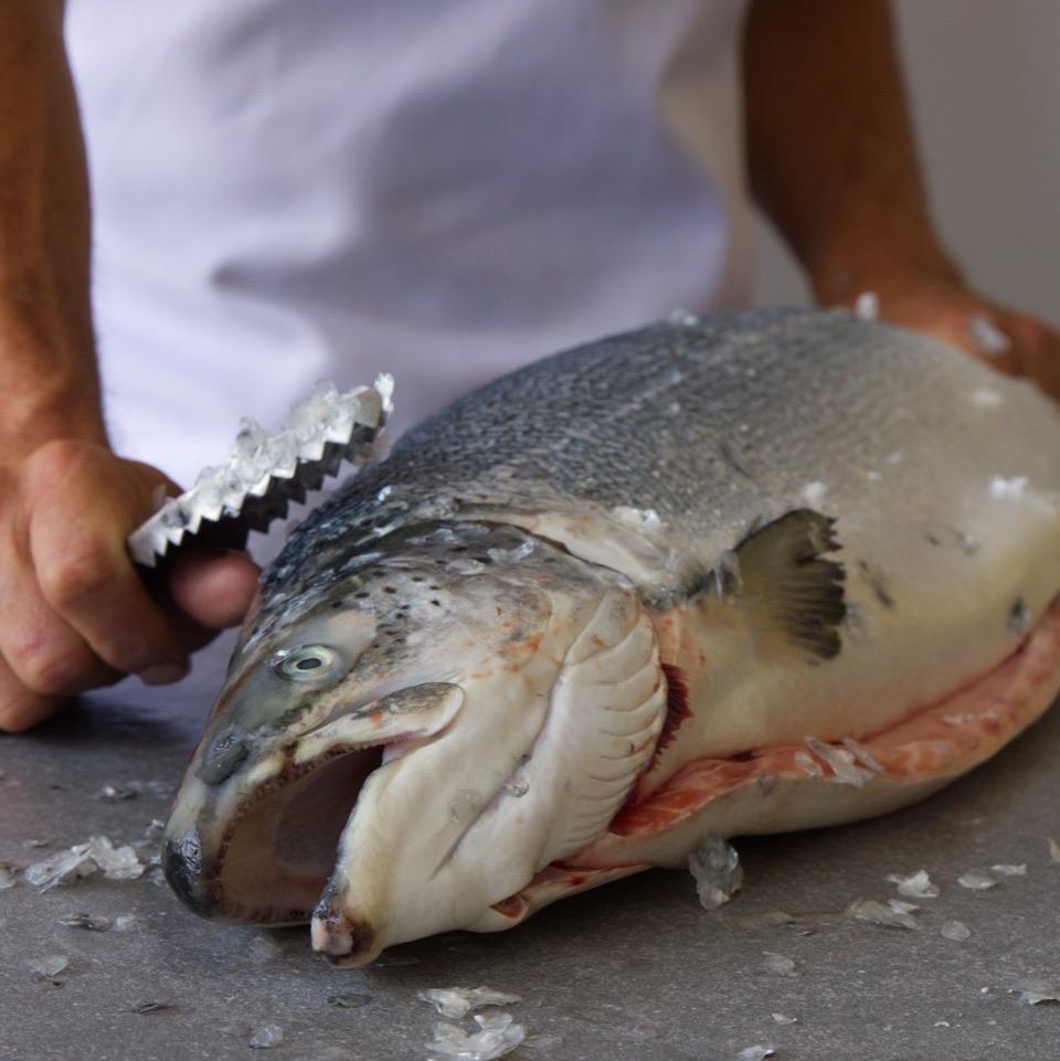 Organic Salmon Fillet | Fresh Box | Cultivated | 2kg