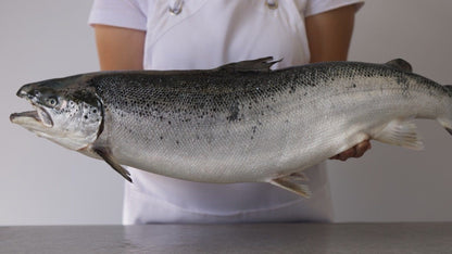 Organic Salmon Fillet | Fresh Box | Cultivated | 2kg