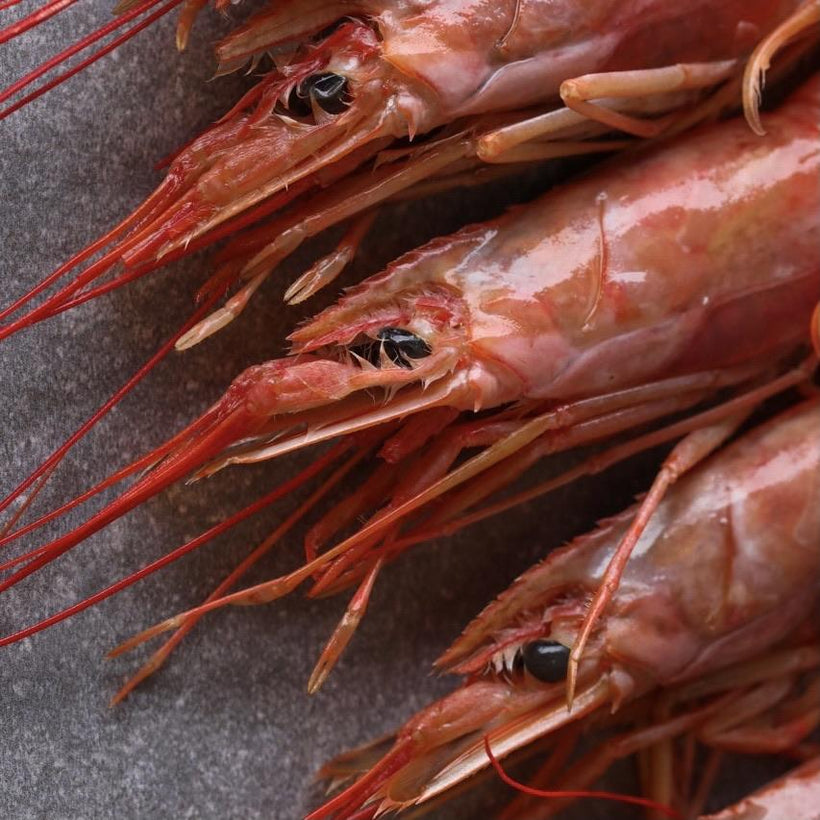 Fresh Prawns Cape Town
