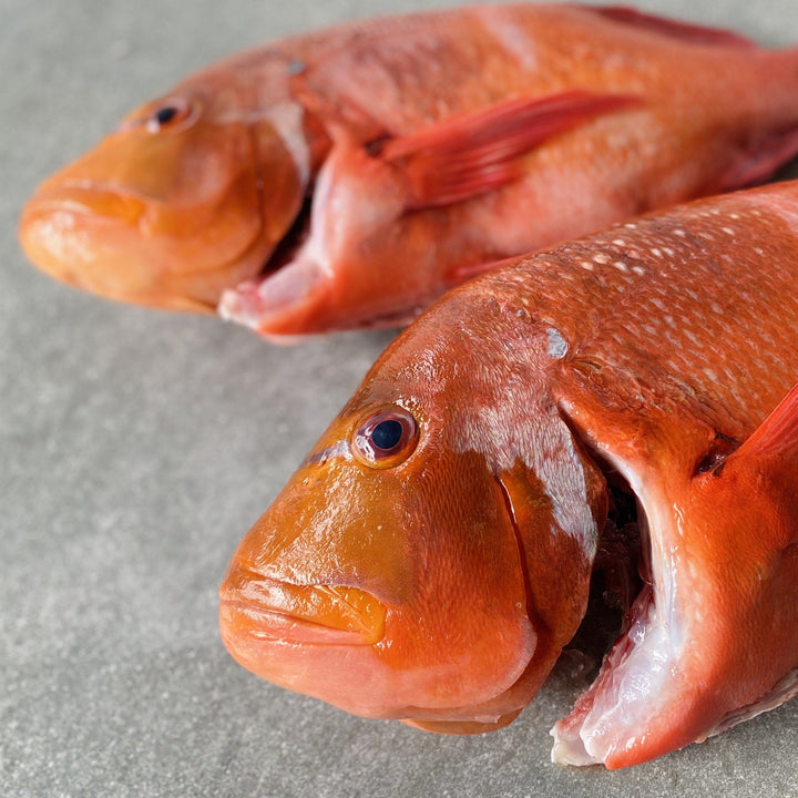Double Roman Fish Fresh – Greenfish