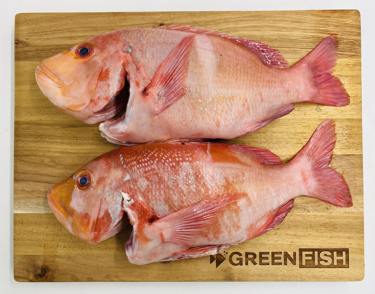 Red Roman | Fresh Fish Box | Caught in Struisbaai – Greenfish