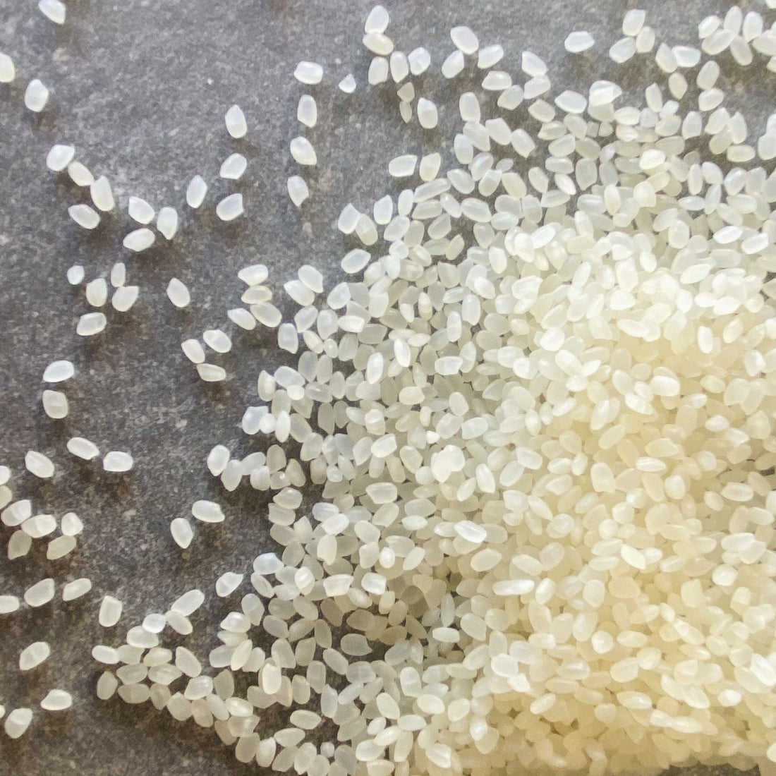 Short Grain Sushi Rice | 1.5kg – Greenfish
