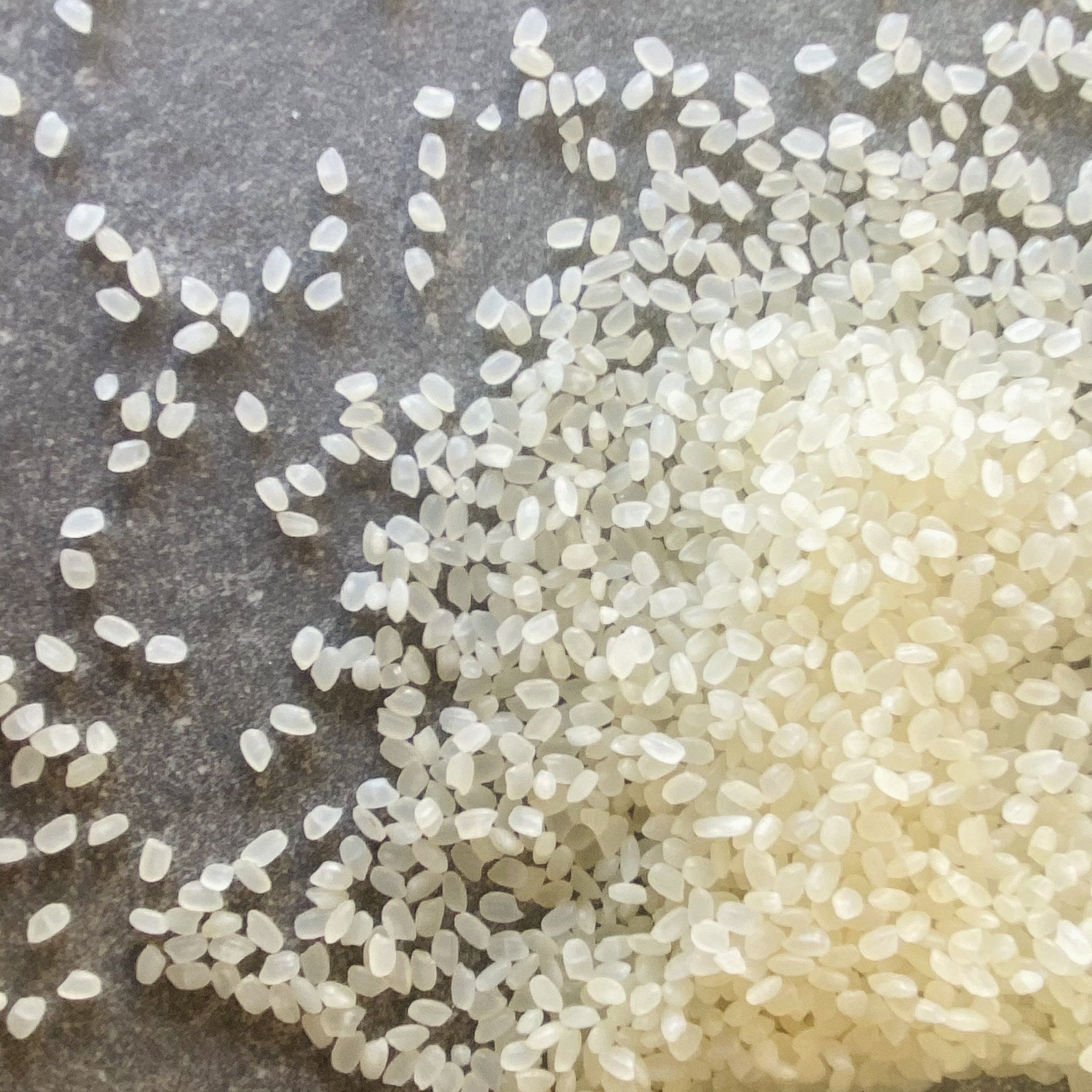Short Grain Sushi Rice | Dry Goods