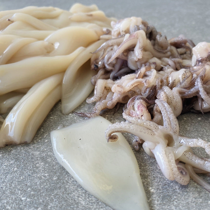 Calamari-Fresh Calamari Boxes