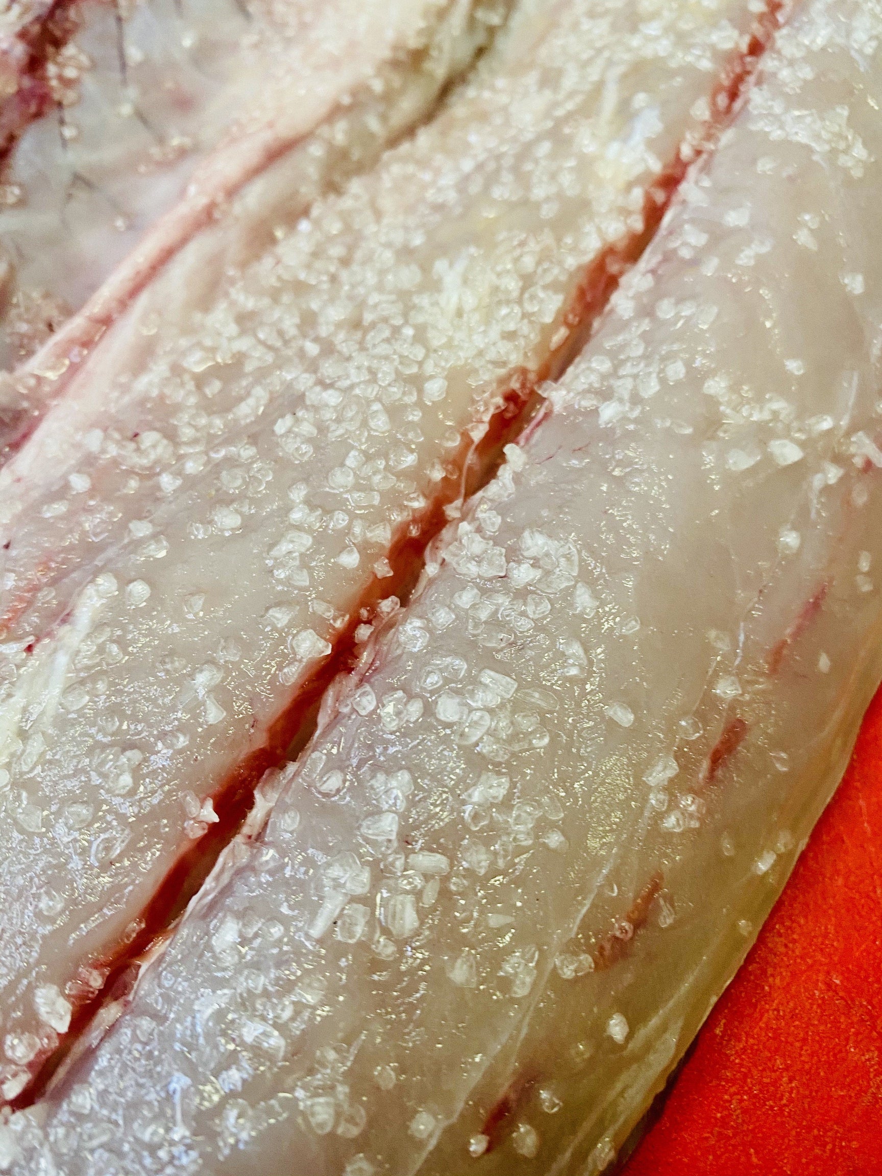 Traditional West Coast Snoek | Frozen Box | Wild Caught | 3.25kg ...